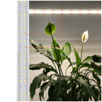 LED grow lamp LED GROWLY 15W Kobi Design