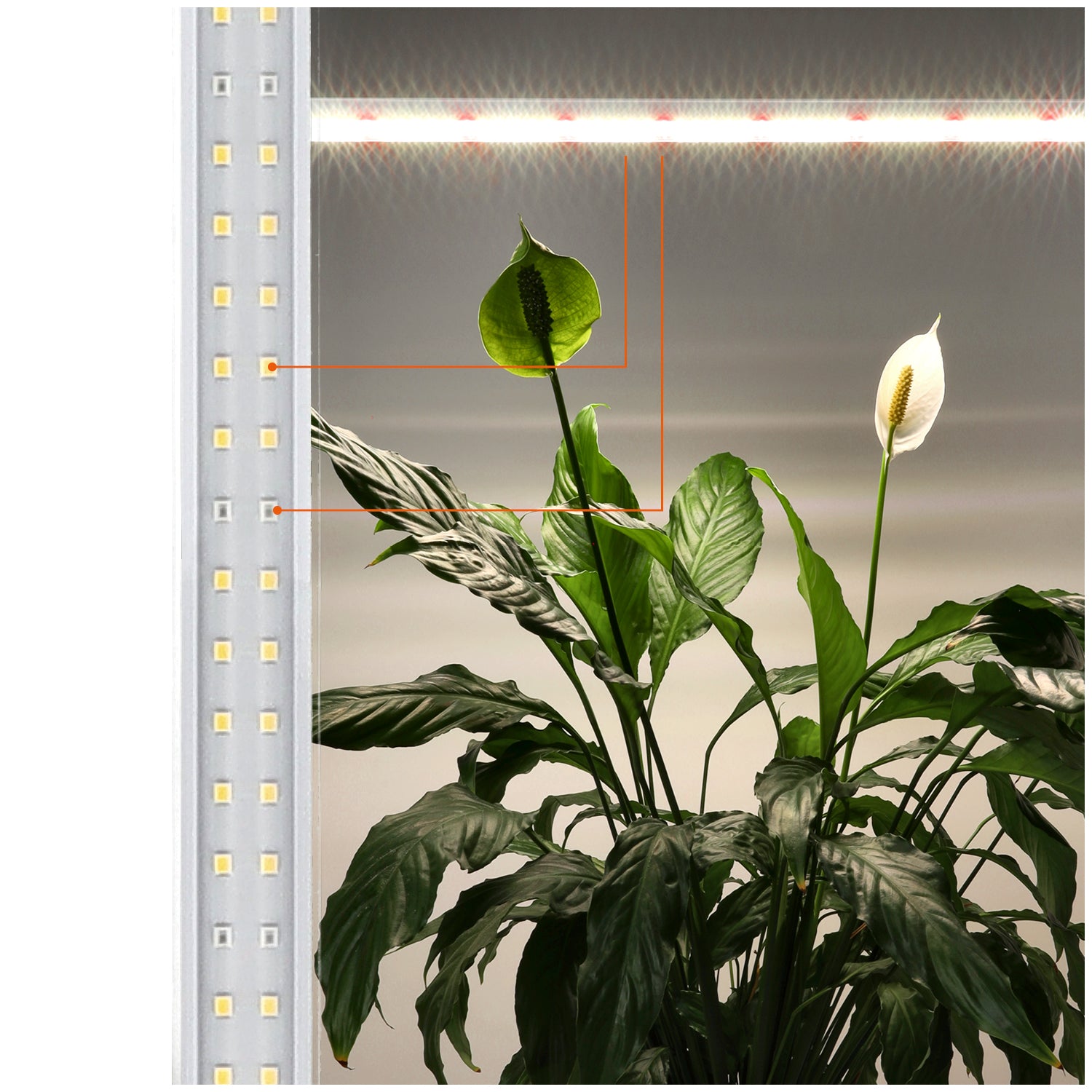 LED grow lamp LED GROWLY 15W Kobi Design