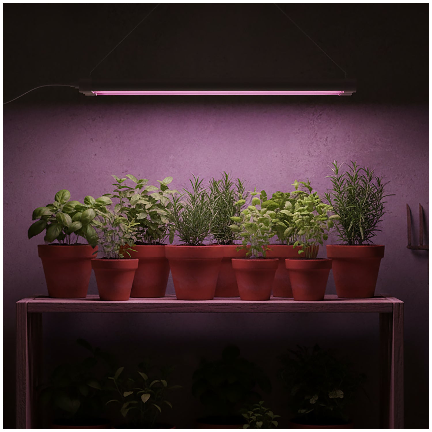 LED grow lamp LED GROWLY 2x8,5W Kobi Design