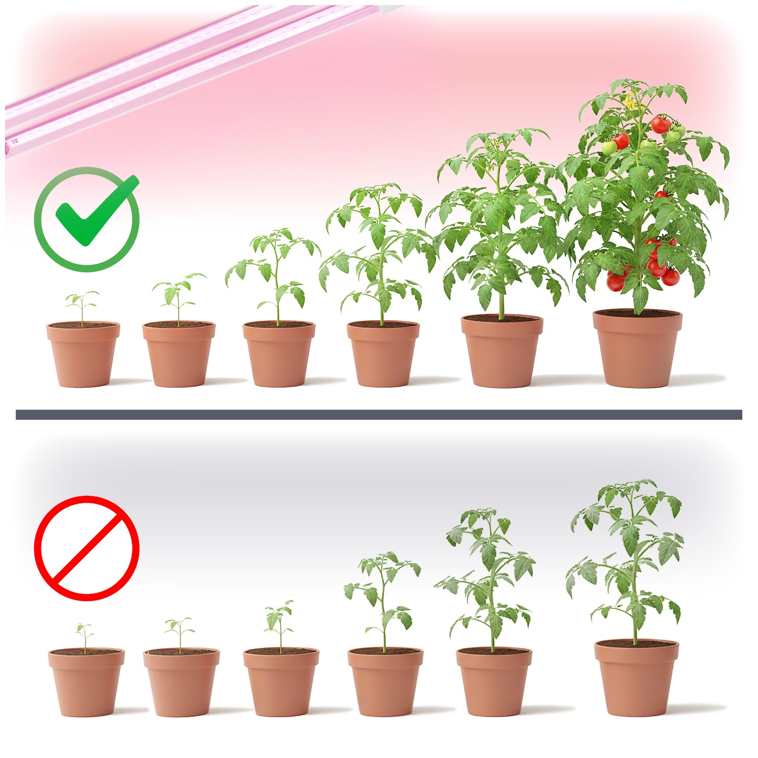 LED grow lamp LED GROWLY 2x8,5W Kobi Design