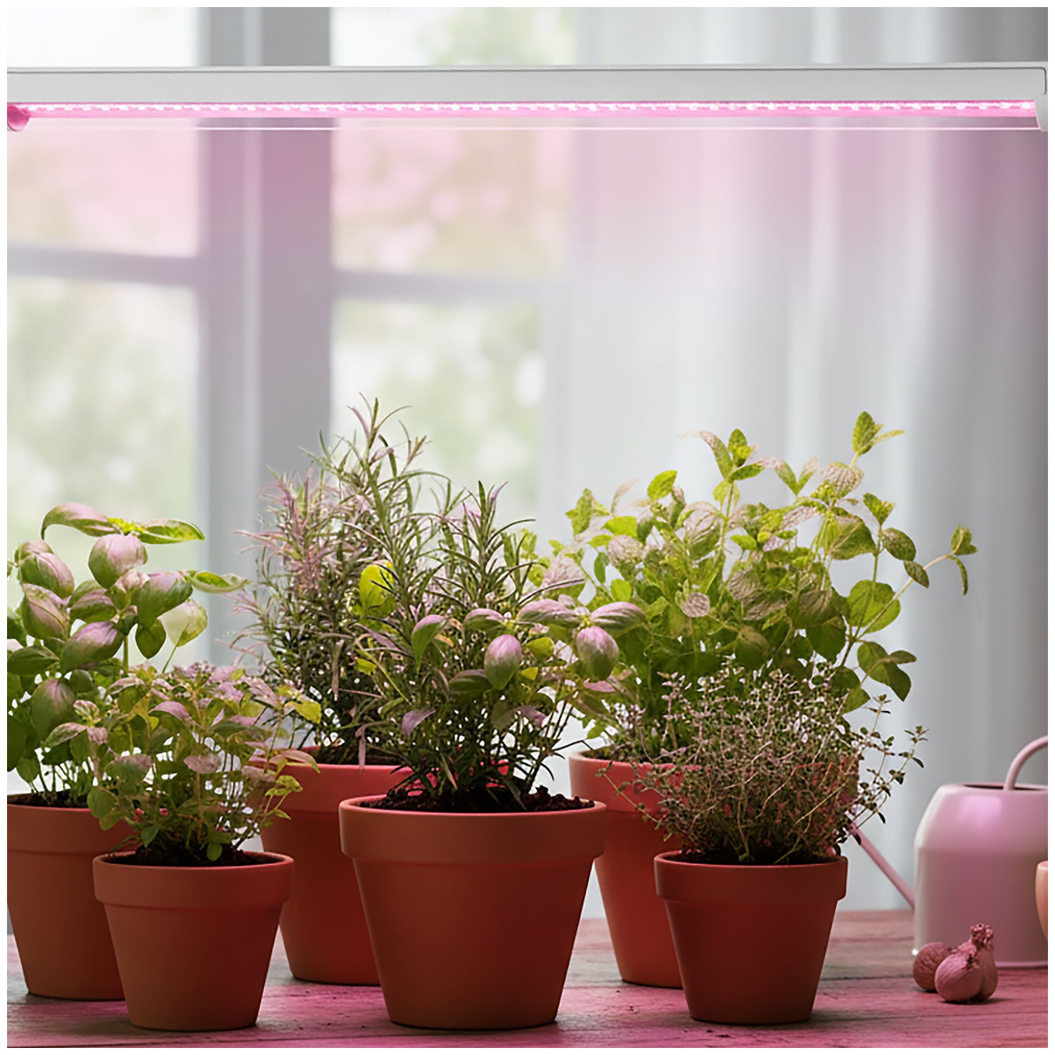 LED grow lamp LED GROWLY 9W Kobi Design