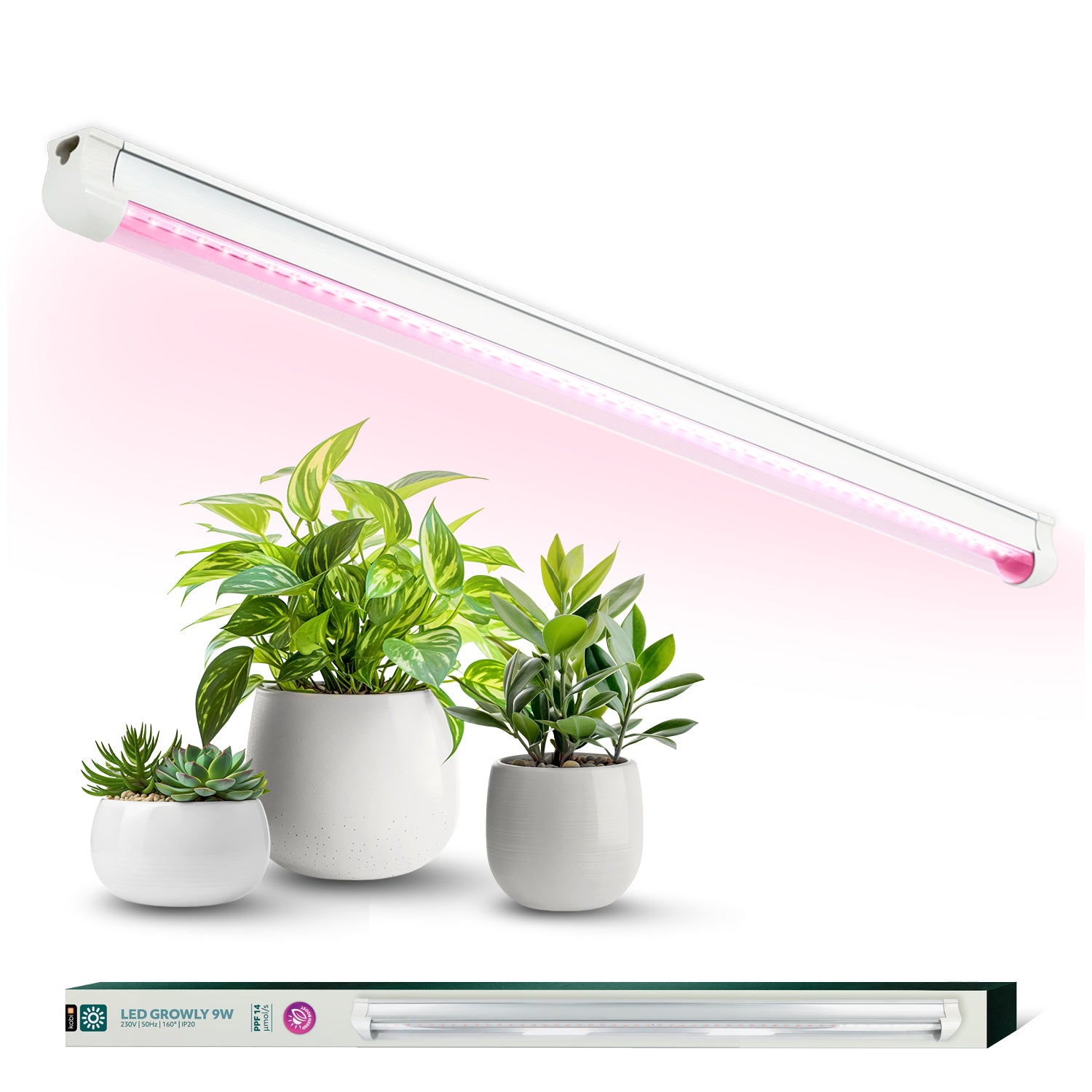 LED grow lamp LED GROWLY 9W Kobi Design