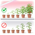 LED grow lamp LED GROWLY 9W Kobi Design