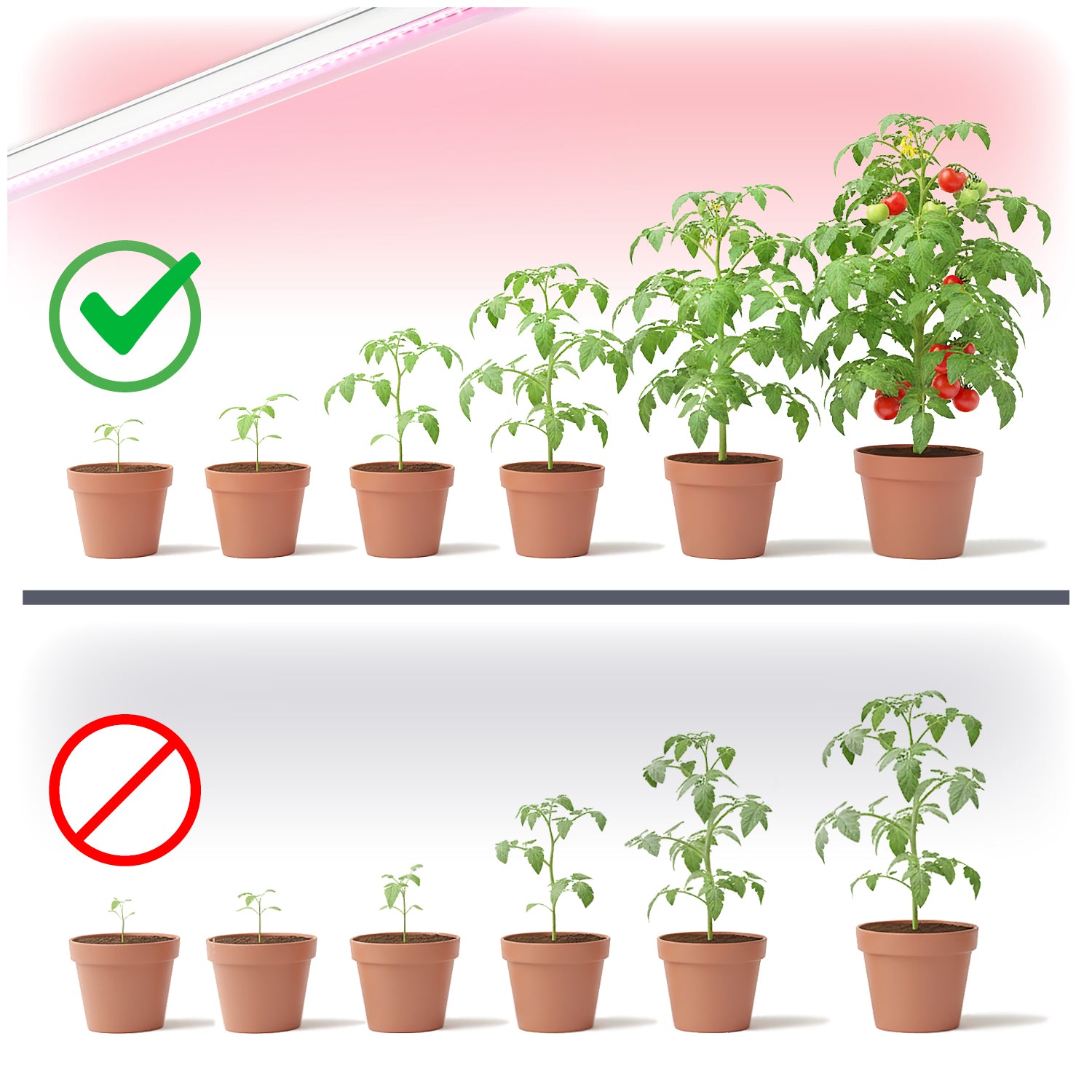 LED grow lamp LED GROWLY 9W Kobi Design