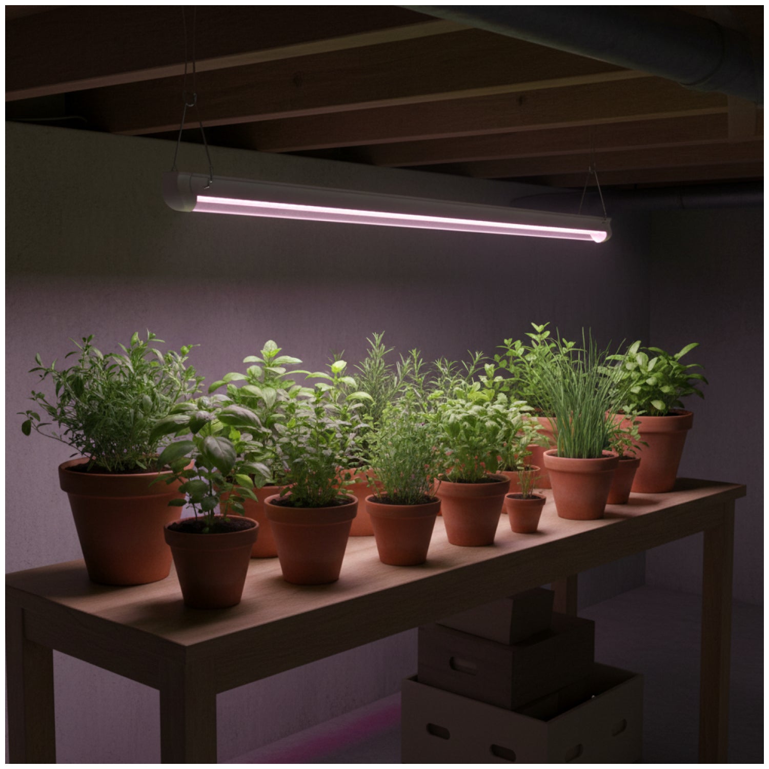 LED grow lamp LED GROWLY 9W Kobi Design
