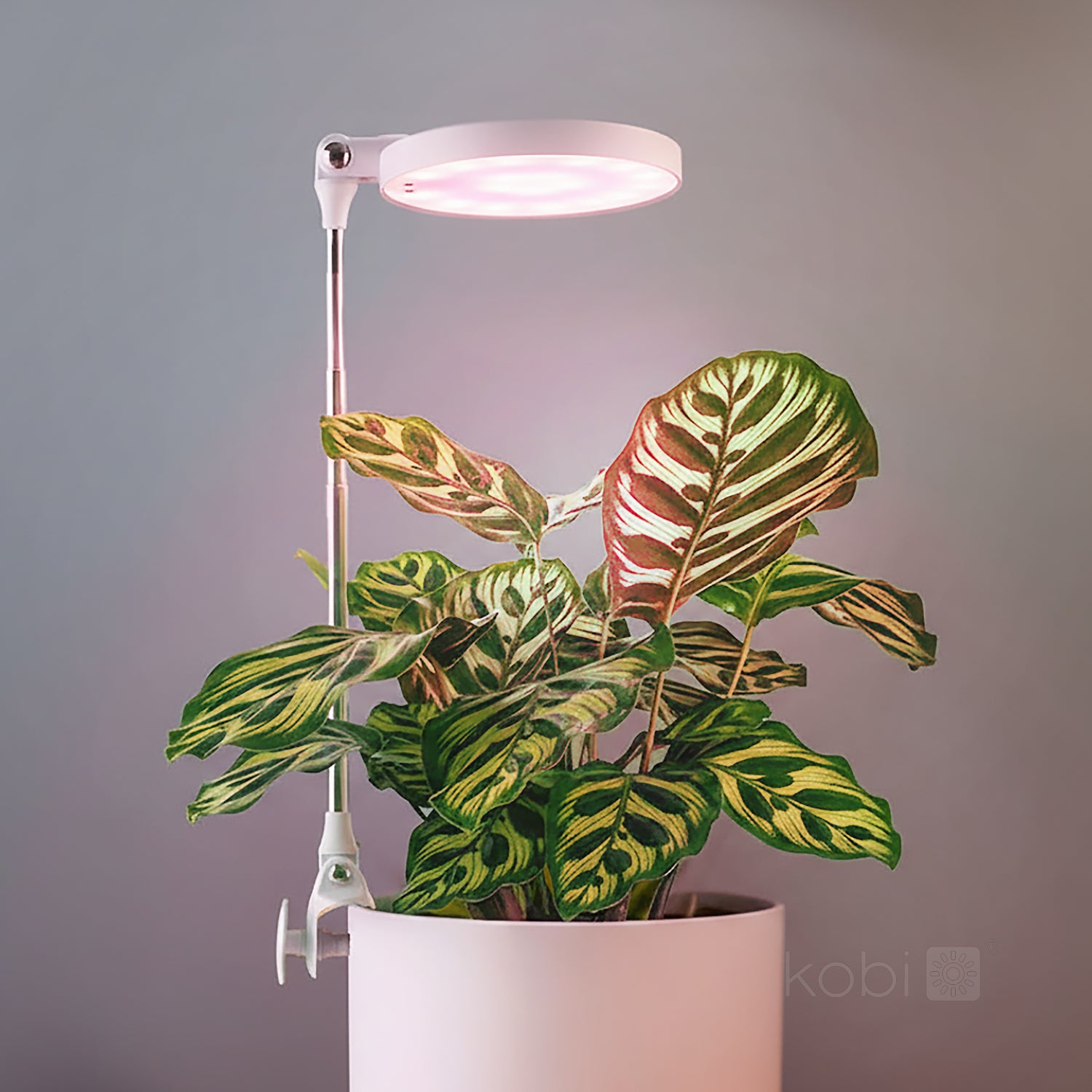 Plant grow light LED VERDI 10W 3200K Kobi Design