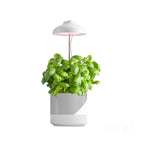 Plant grow light LED VERDI 5W 3200K Kobi Design