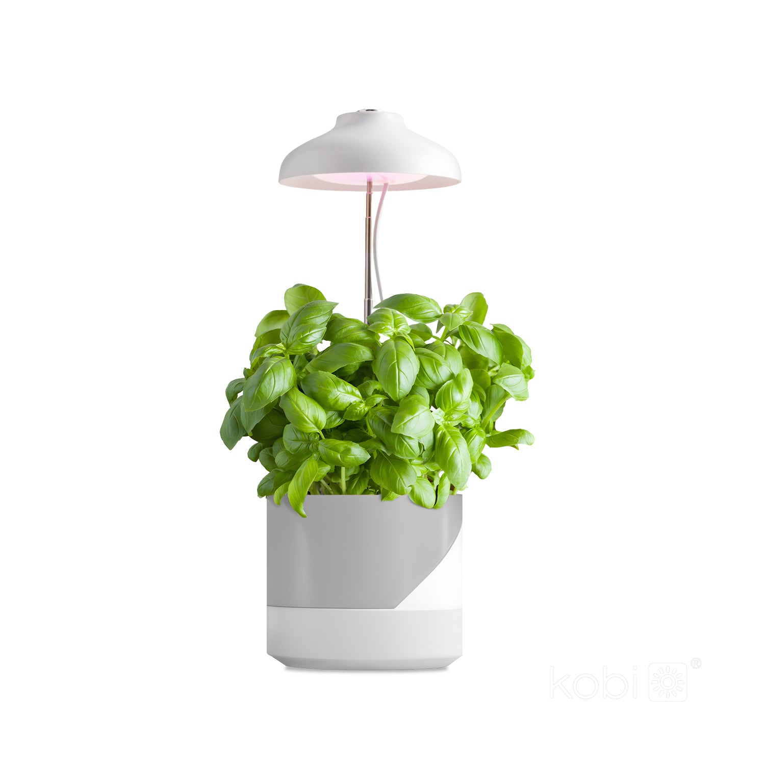 Plant grow light LED VERDI 5W 3200K Kobi Design