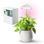 Plant grow light LED VERDI 5W 3200K Kobi Design