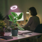 Plant grow light LED VERDI V2 5W 1300K white Kobi Design