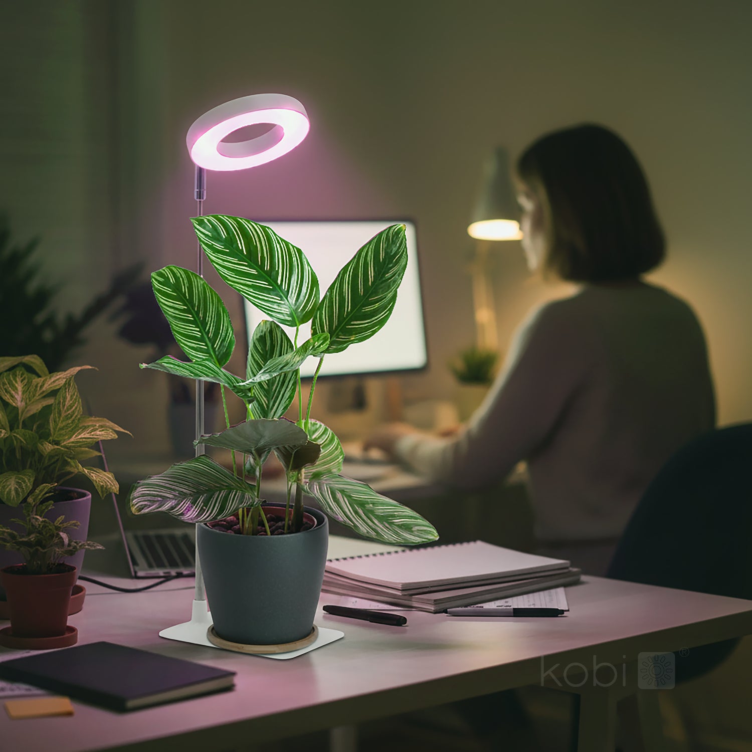 Plant grow light LED VERDI V2 5W 1300K white Kobi Design