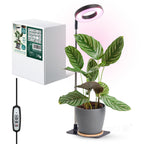 Plant grow light LED VERDI V2 5W 1300K black Kobi Design
