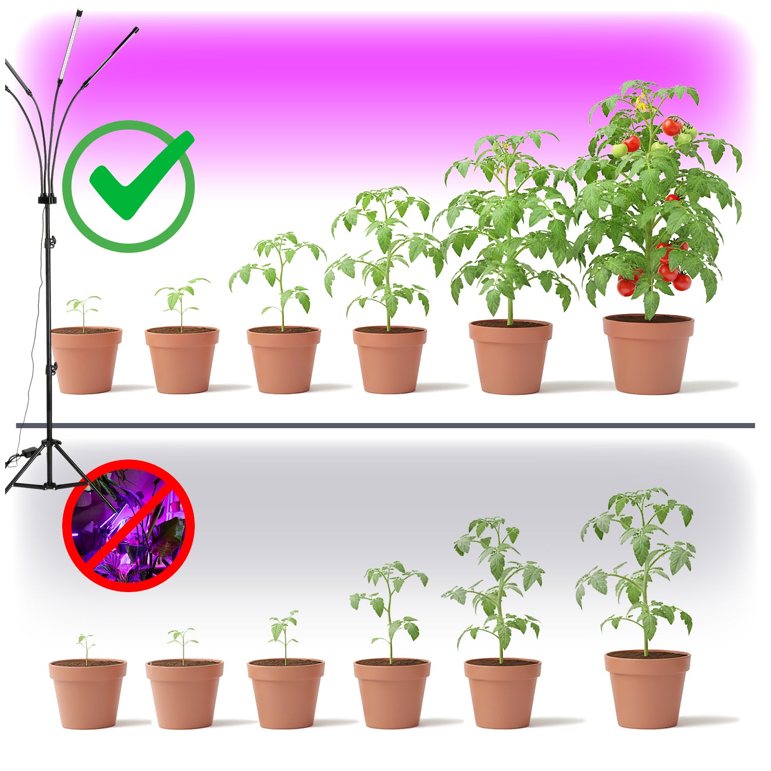 LED grow lamp LED VITARO 3 CLIP 10W Kobi Design