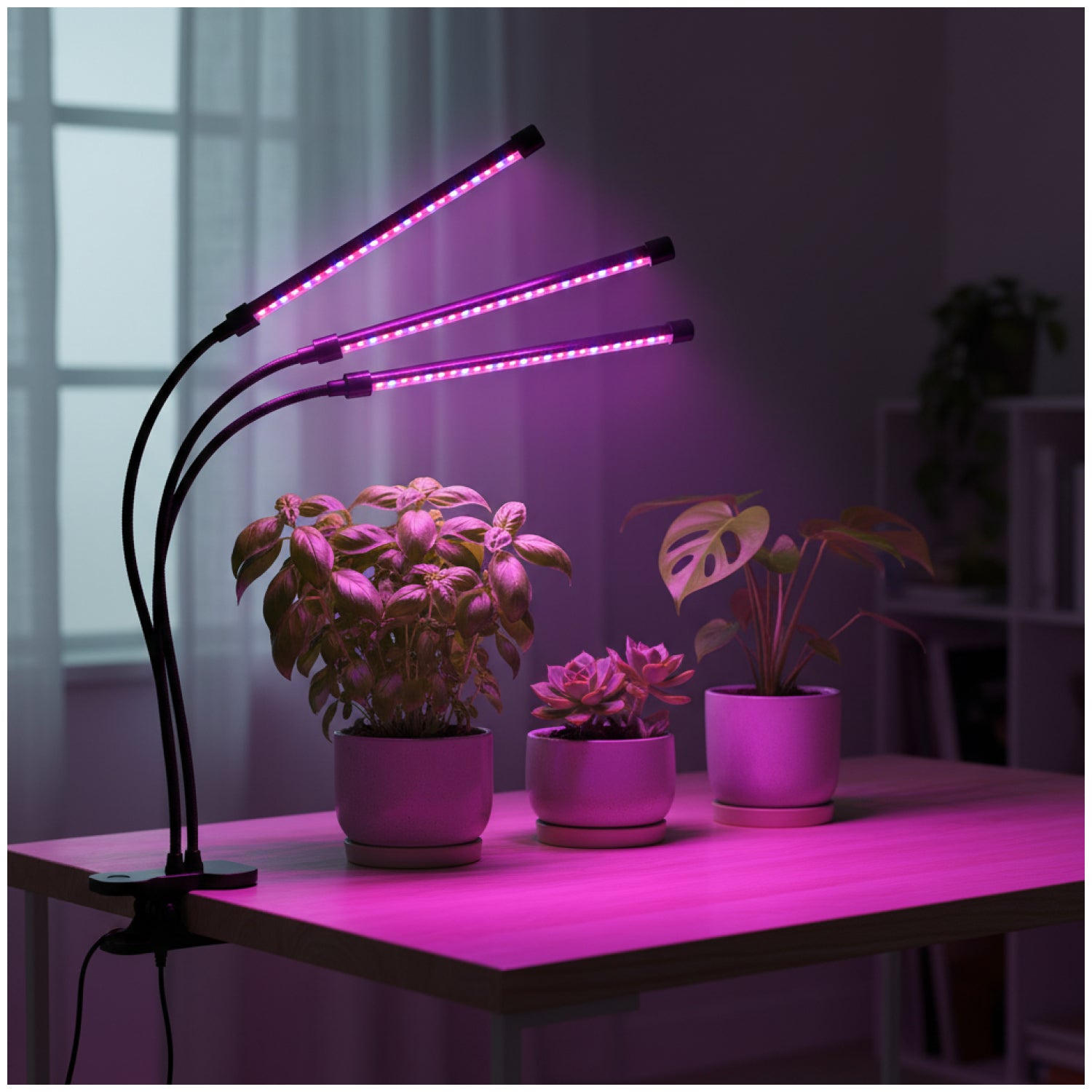 LED grow lamp LED VITARO 3 CLIP 10W Kobi Design