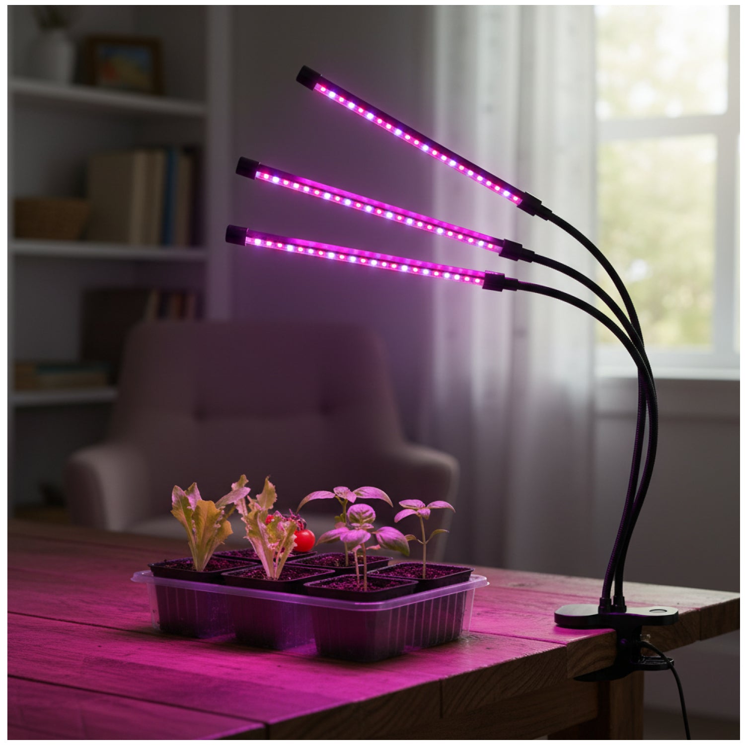 LED grow lamp LED VITARO 3 CLIP 10W Kobi Design