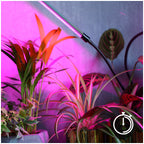LED grow lamp LED VITARO 3 ST MINI 10W Kobi Design