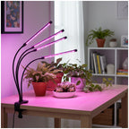 LED grow lamp LED VITARO 4 CLIP 10W Kobi Design