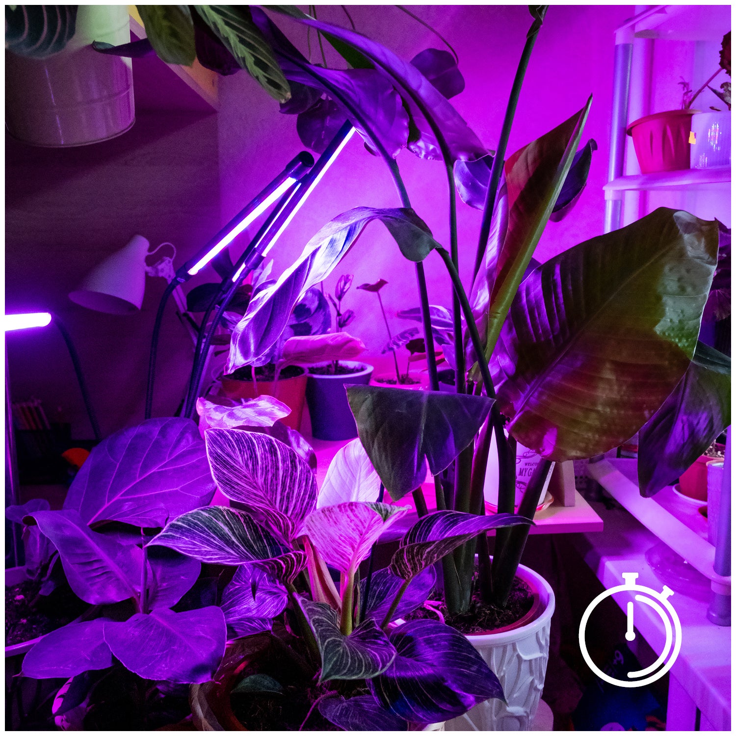 LED grow lamp LED VITARO 4 CLIP 10W Kobi Design