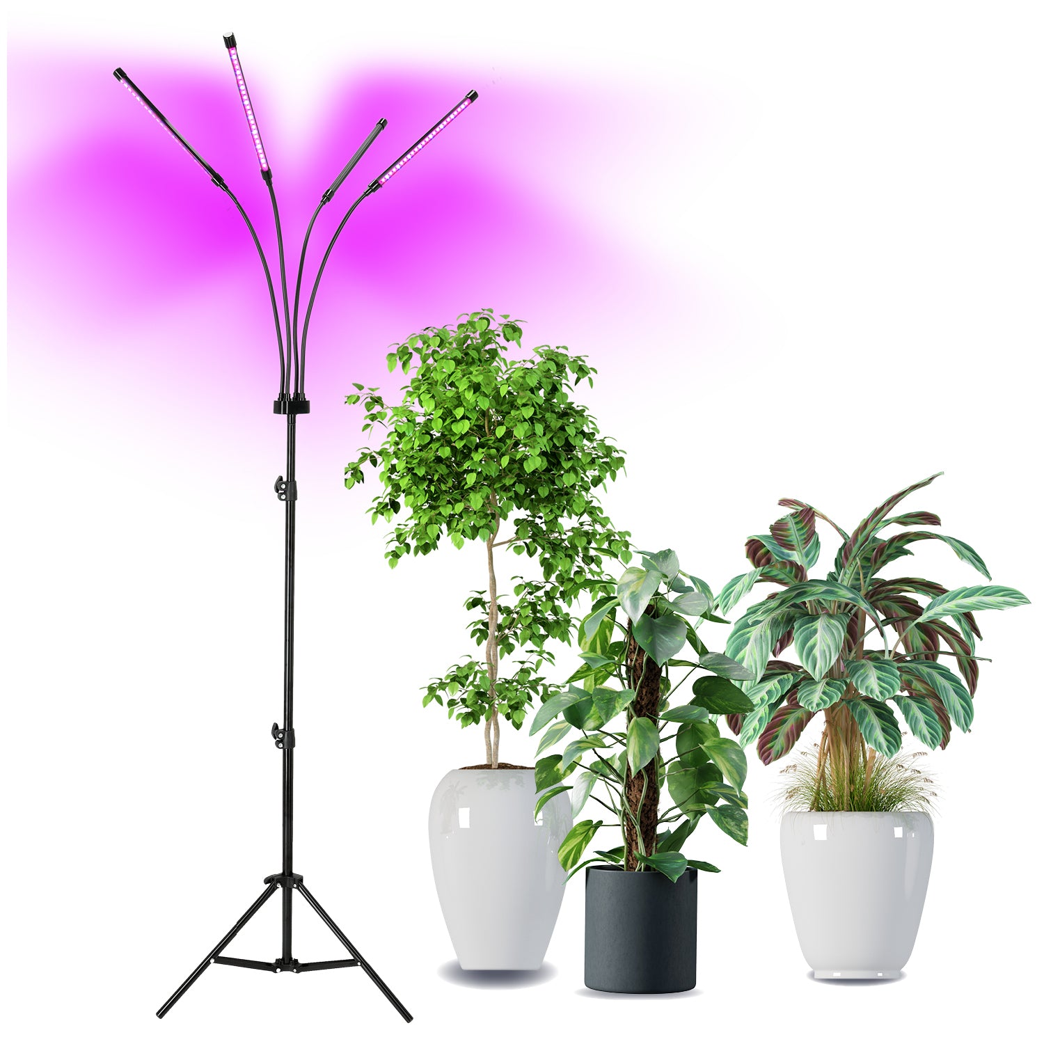 LED grow lamp LED VITARO 4 ST 30W Kobi Design