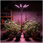 LED grow lamp LED VITARO 4 ST 30W Kobi Design