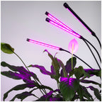 LED grow lamp LED VITARO 4 ST 30W Kobi Design