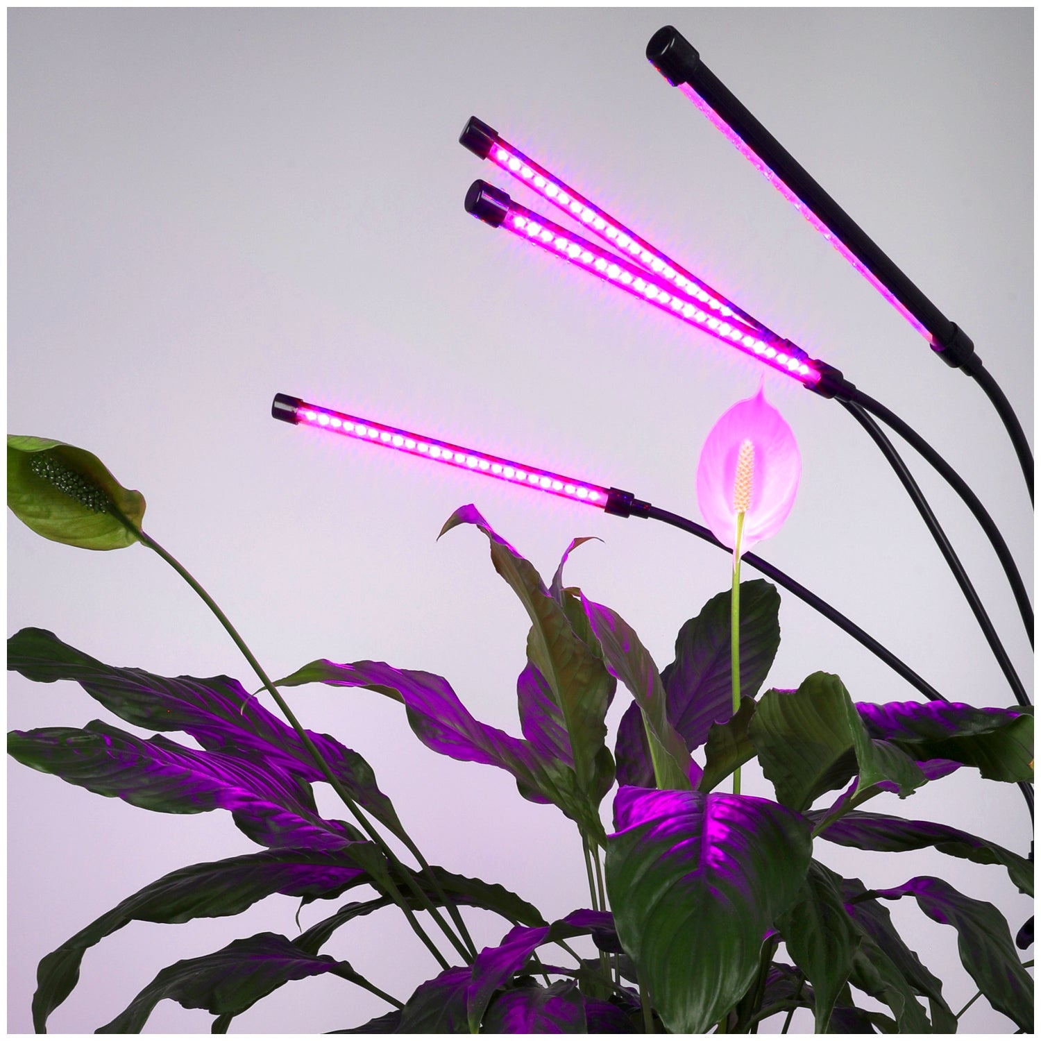 LED grow lamp LED VITARO 4 ST 30W Kobi Design