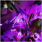 LED grow lamp LED VITARO 4 ST 30W Kobi Design