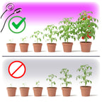 LED grow lamp LED VITARO RING 2 CLIP 8W Kobi Design