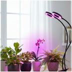 LED grow lamp LED VITARO RING 2 CLIP 8W Kobi Design