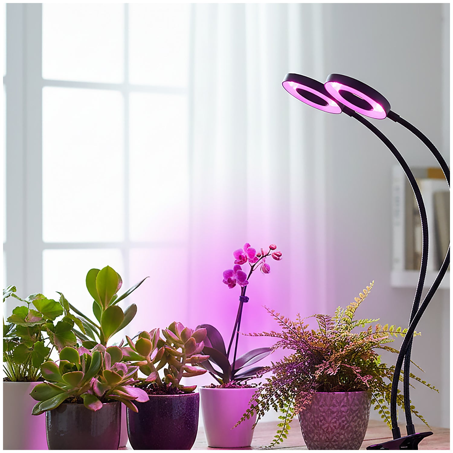 LED grow lamp LED VITARO RING 2 CLIP 8W Kobi Design