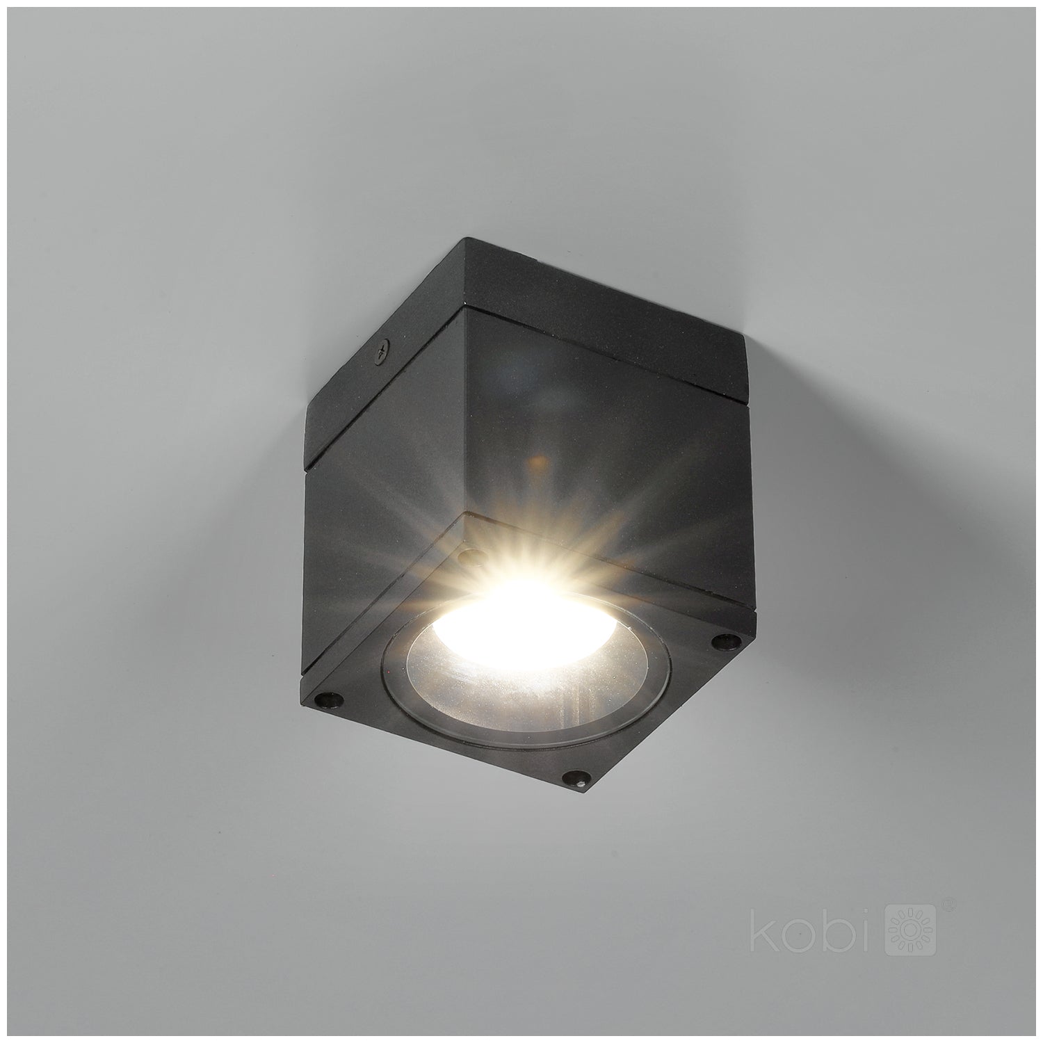 Garden lamp QUERK 1 1xGU10 IP54 black LED2B