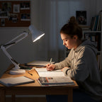 Desk lamp AURIQ 1xE27 White LED2B