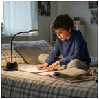 Desk lamp LED LUSIA 5W black LED2B