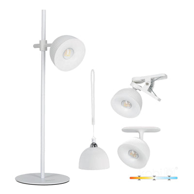 Desk lamp LED ORBI 2,5W CCT white Laitica