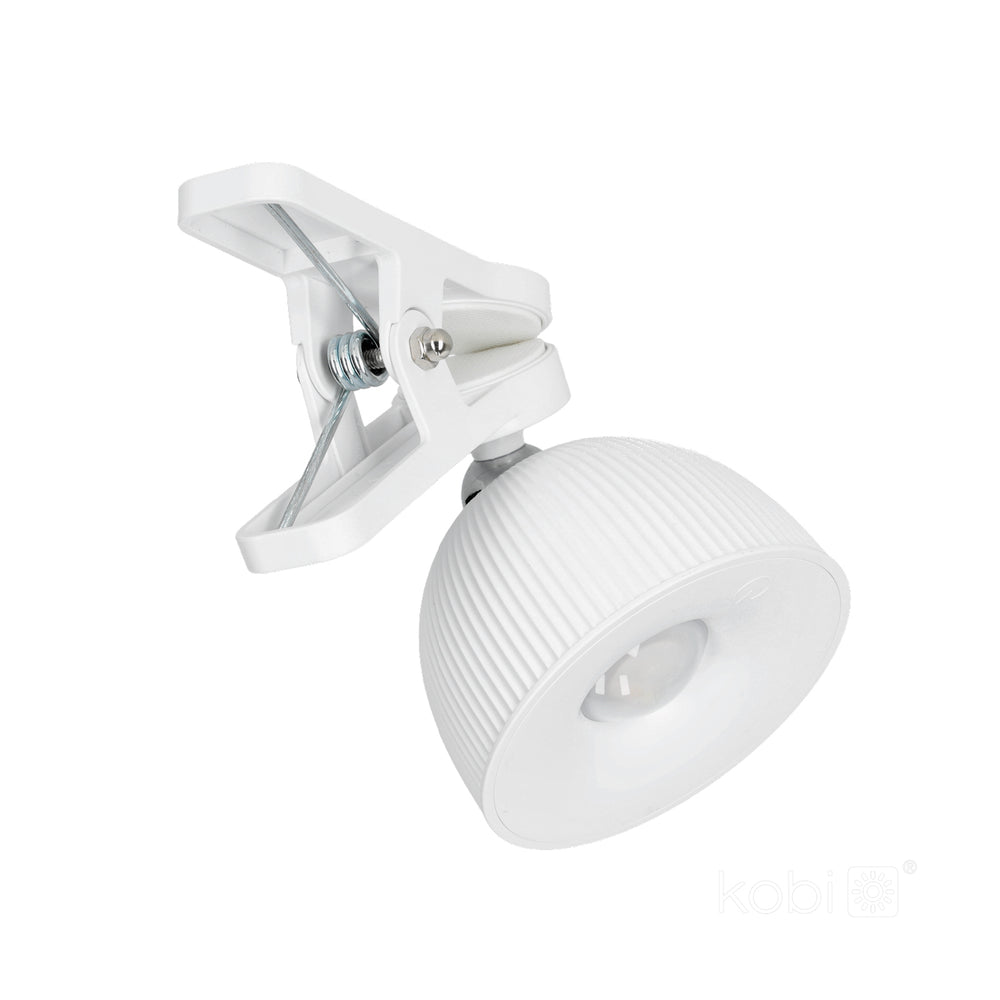 Desk lamp LED ORBI 2,5W CCT white Laitica