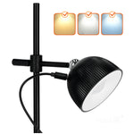 Desk lamp LED ORBI 2,5W CCT black Laitica