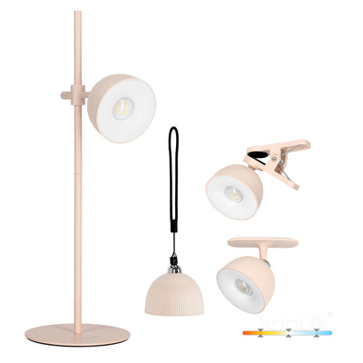 Desk lamp LED ORBI 2,5W CCT pink Laitica