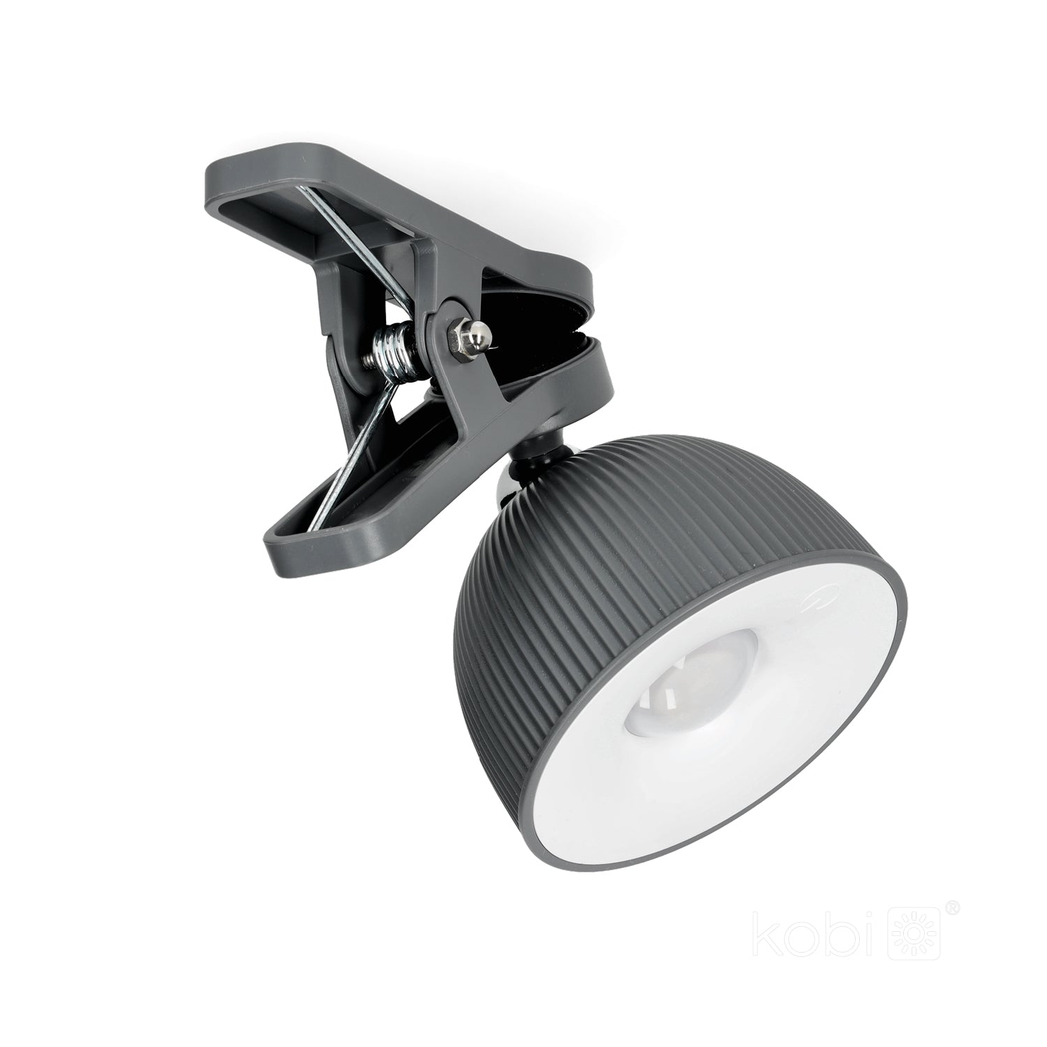 Desk lamp LED ORBI 2,5W CCT grey Laitica