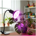 Desk lamp KOBI PLANTY CLIP W 1xE27 Black Kobi Design