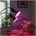 Desk lamp PLANTY CLIP B DUO 1xE27 black Kobi Design