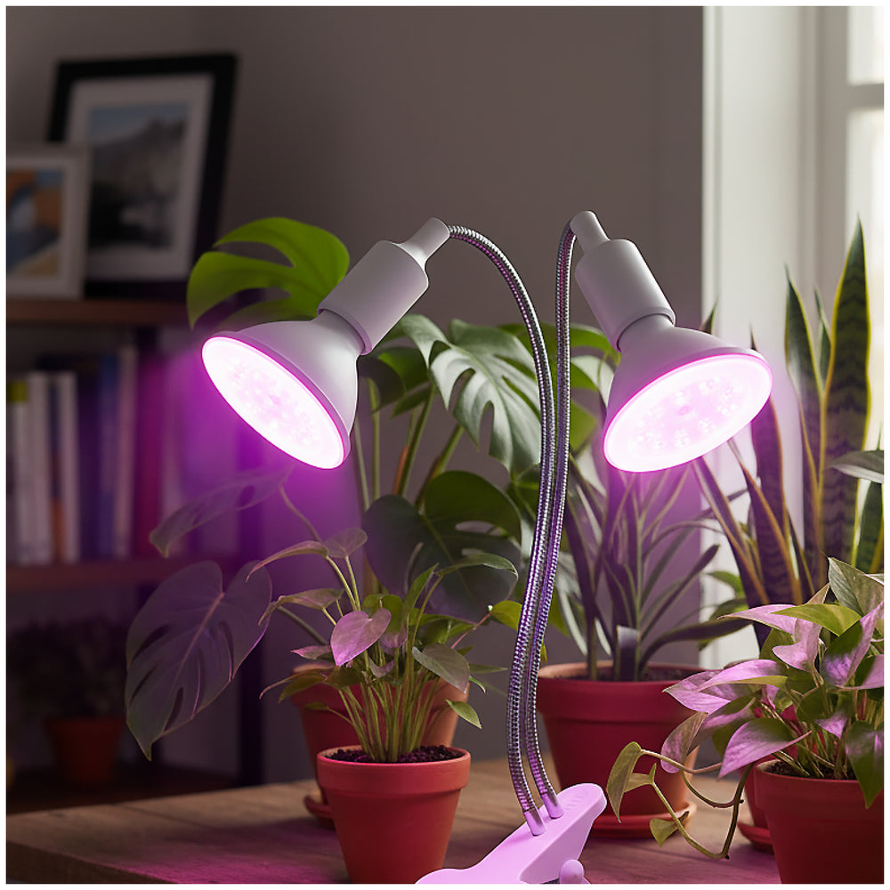 Desk lamp KOBI PLANTY CLIP W DUO 2xE27 White Kobi Design