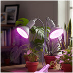 Desk lamp KOBI PLANTY CLIP W DUO 2xE27 White Kobi Design