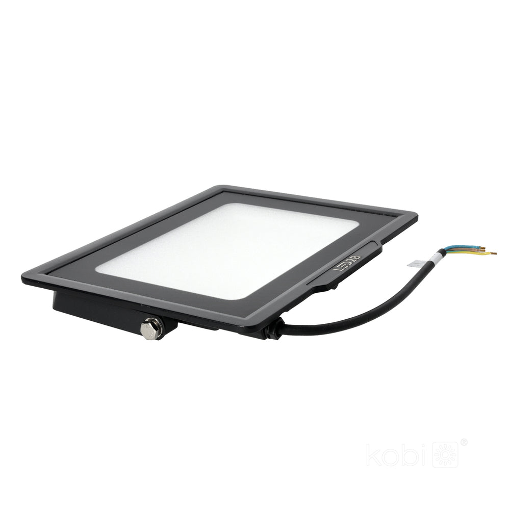 Floodlight LED MH 50W black 6500K IP65 LED2B
