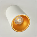 Ceiling lamp KIVI 1xGU10 white-gold Kobi