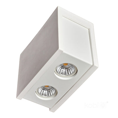 Ceiling lamp PURO 2xGU10 white Art of Light