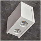 Ceiling lamp PURO 2xGU10 white Art of Light