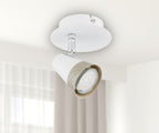 Ceiling lamp 1FL. ROX 1300