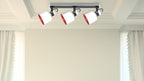 Ceiling lamp 3FL. PAKOS 1103
