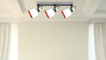 Ceiling lamp 3FL. PAKOS 1103