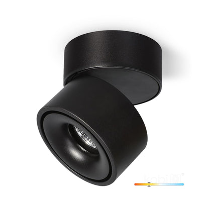 Ceiling fixture LAHTI dim 10,5W 3000K black Art of Light